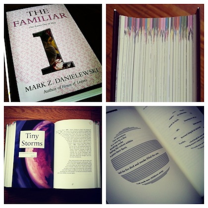 One Rainy Day in May (The Familiar, #1) by Mark Z. Danielewski